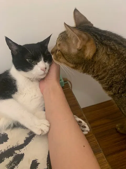 我的熊公主(15歲)與浣少爺(12歲)