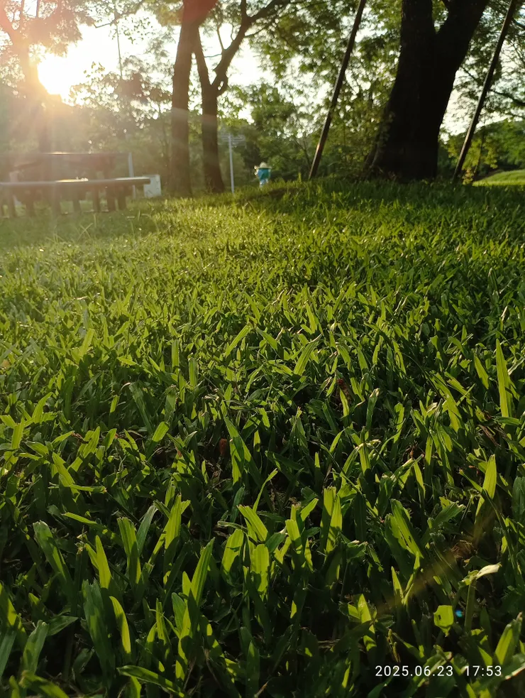 光速已作風前舞，太極行中眼見心感寫