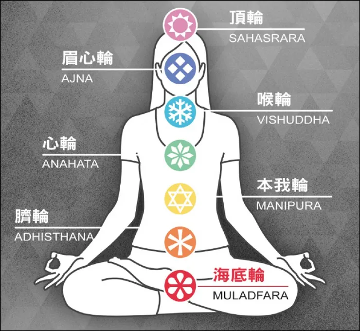 本我輪就是生殖輪，臍輪就是胃輪