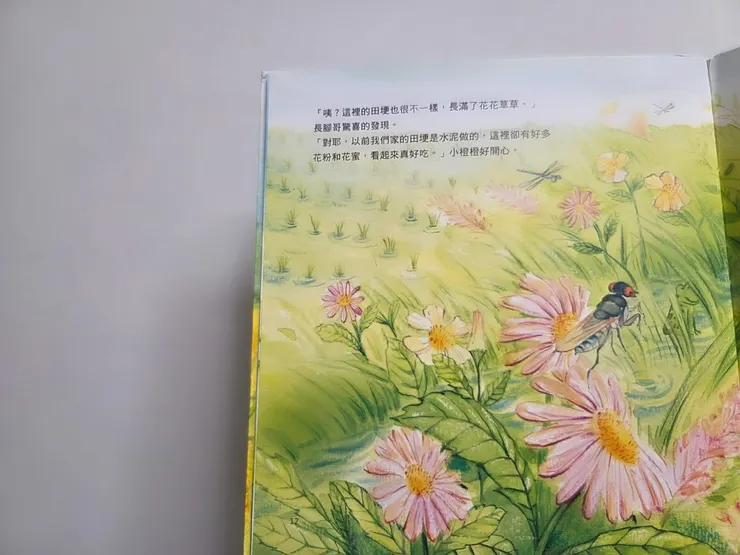 《橙瓢蟲找新家》