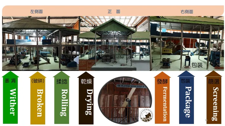 傳統英式茶廠的建築配置