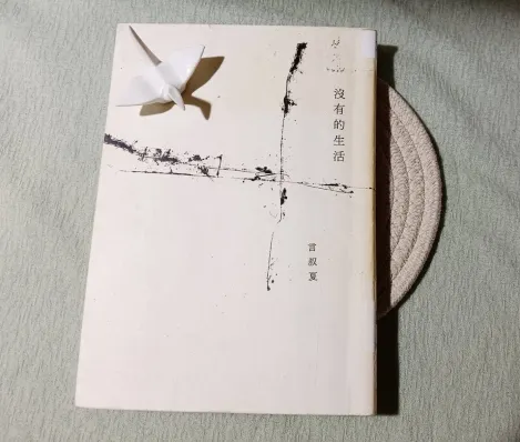 《沒有的生活》書籍封面