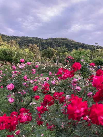 最溫柔的道歉不是對不起，而是和自己和解