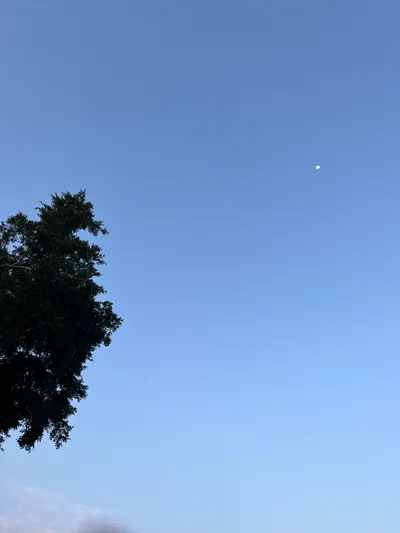 樹梢一枚月，天間一縷煙。