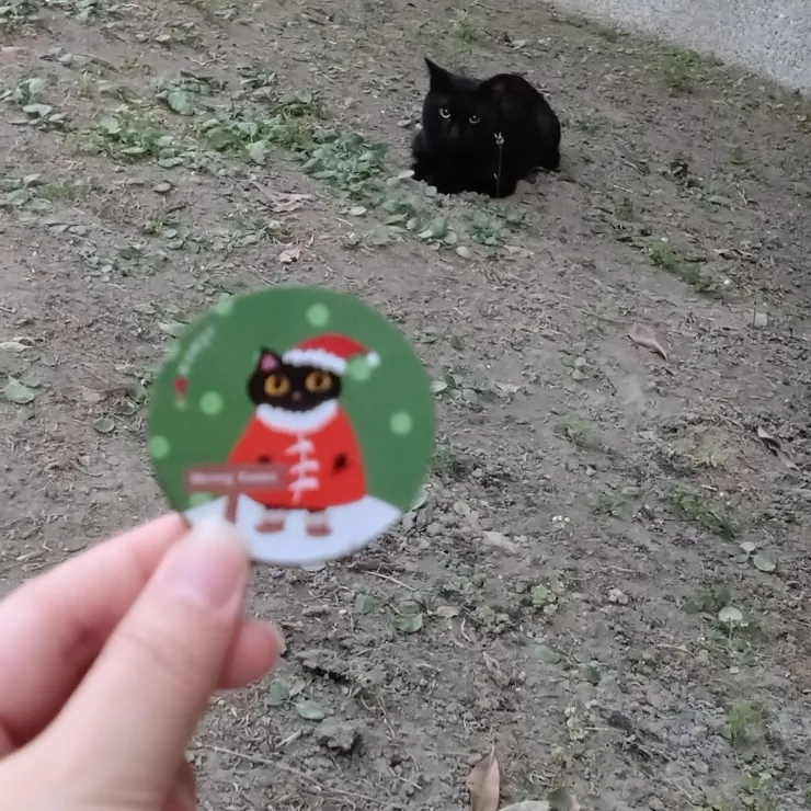 乖乖的原型貓貓