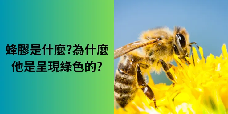 圖片來自:蜜蜂採蜜