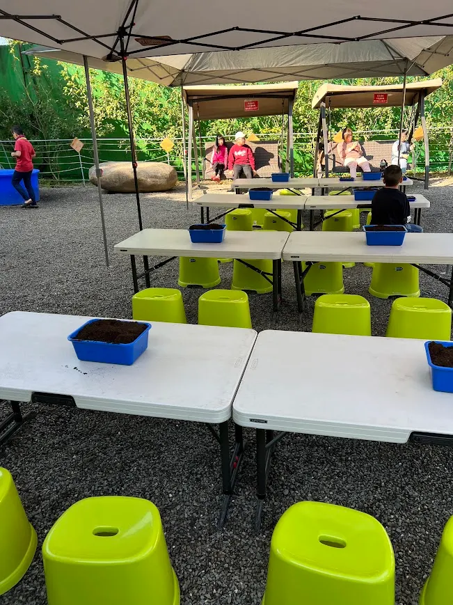 活動場地在營本部