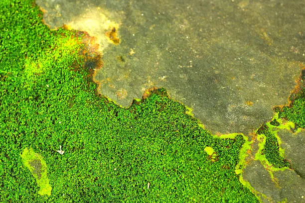 「龍戰于野。其血玄黃」陰陽相戰，而萬物於是復發生機。