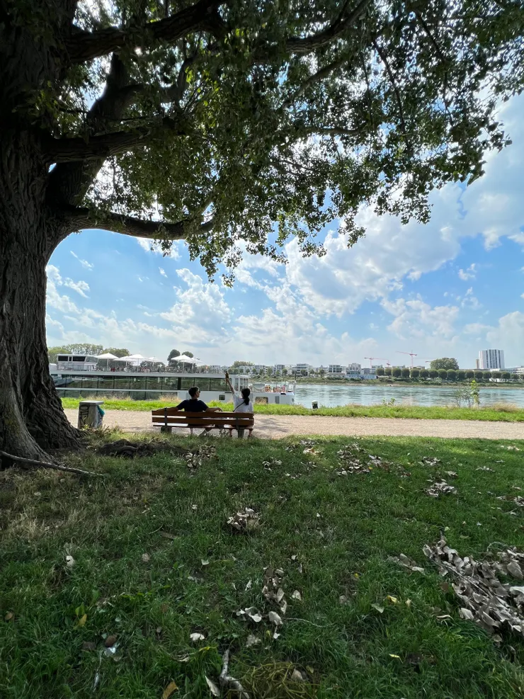 曼海姆萊茵河畔