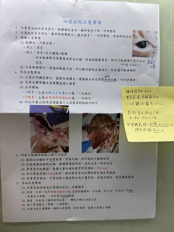 第二次出院醫生自己打的詳細醫囑