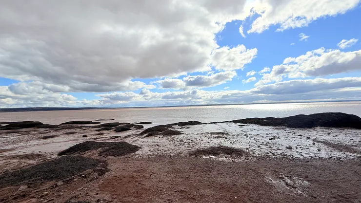 芬迪彎的巧克力海灘