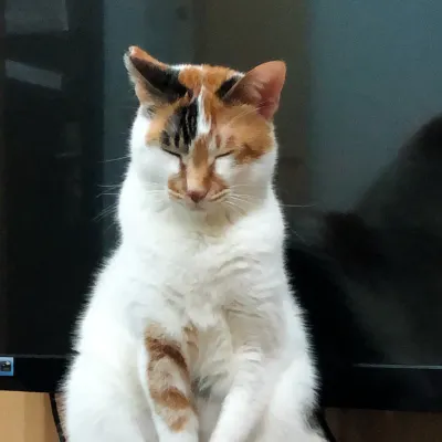 白銀紫鴛的沙龍