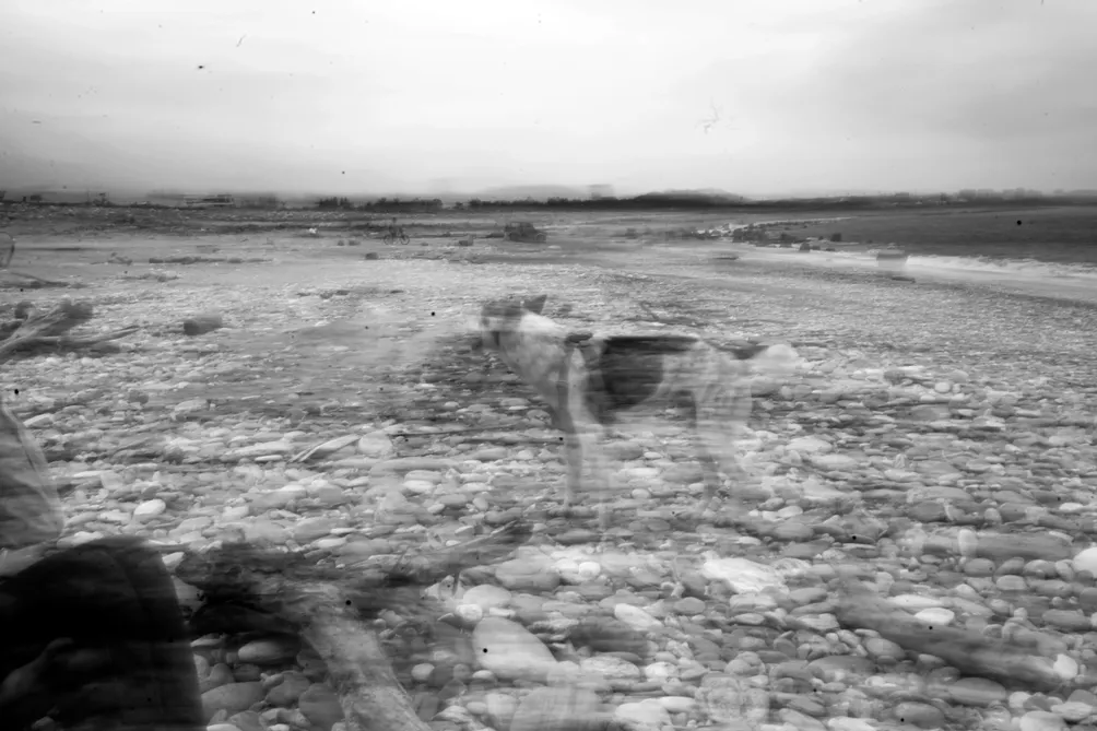 隨機森林咖啡沙龍