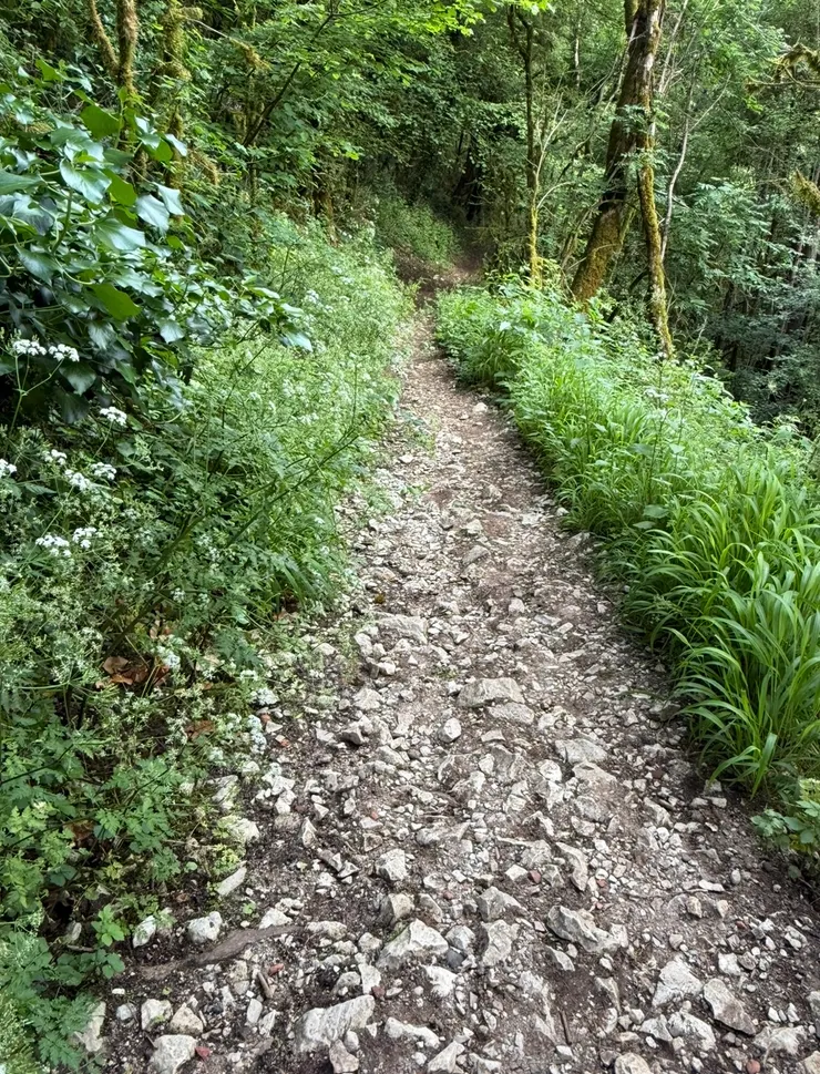 這種岩石路太考驗我了