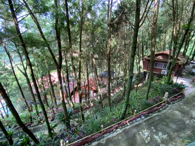 樹林中的映竹居(民宿)