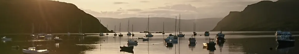 小貓漫步的獨白