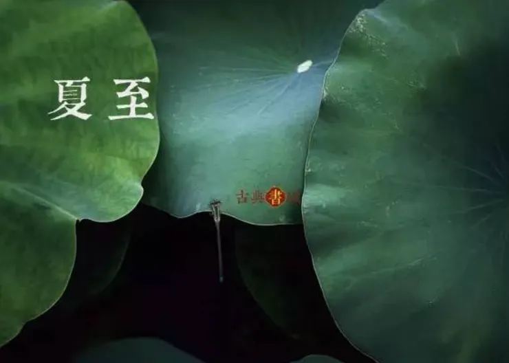 圖片取自網路加以裁剪而成，侵權刪。