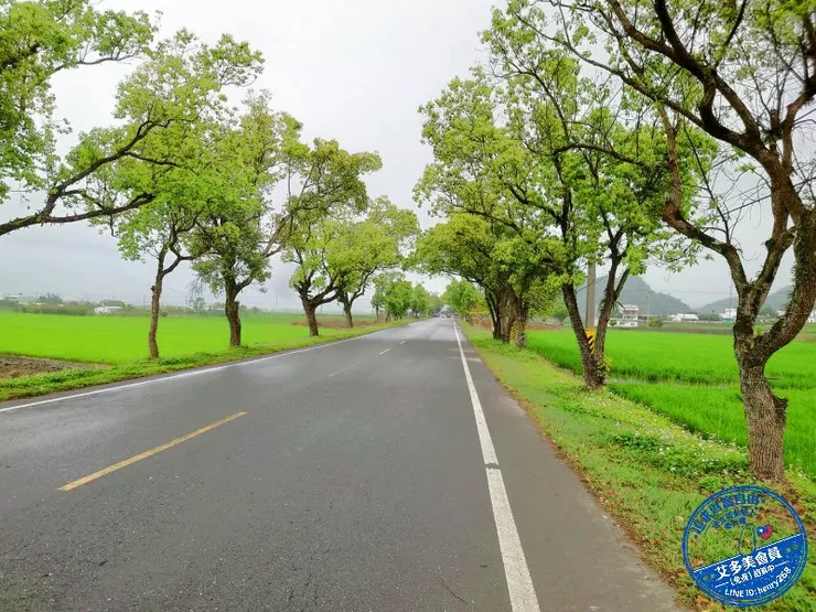 ▲花蓮 193縣道風光▲