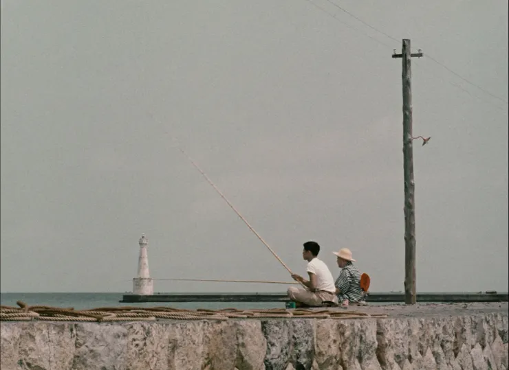 36.《浮草》（浮草，1959）🇯🇵
