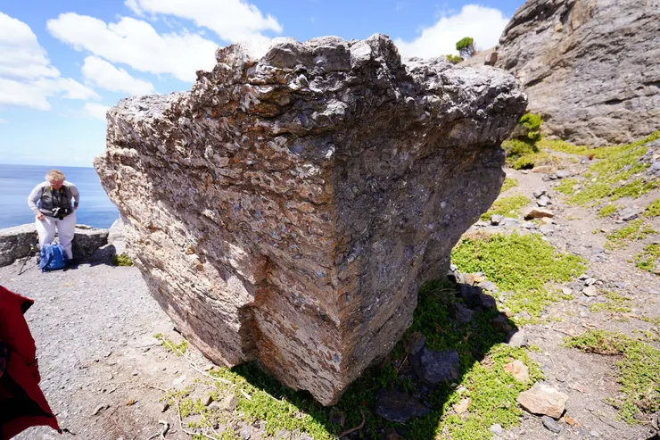 巨大化石岩~出現
