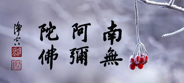 佛號梵唄: 一向專念 阿彌陀佛 求生淨土