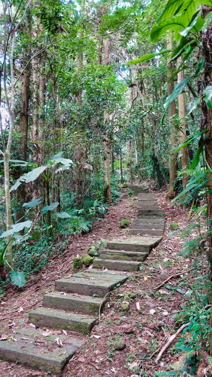趕快逃離蜜蜂的騷擾