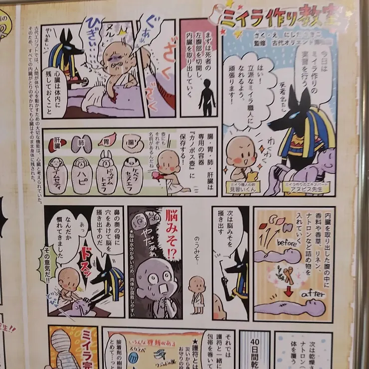 製作木乃伊的漫畫(腦髓=腦味噌😂)