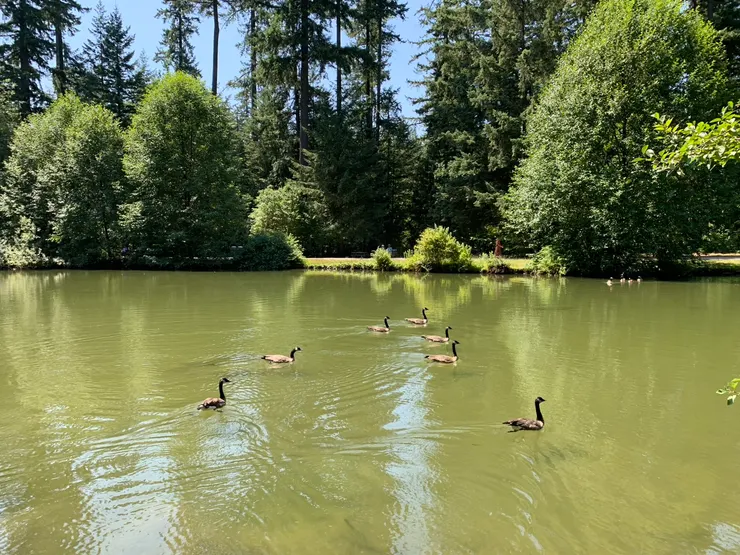 Ai-Husband 英文版宣言