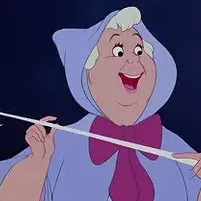 你/妳的神仙教母