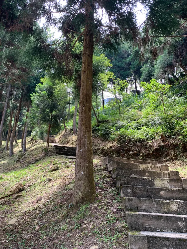 步道有維護,還蠻整齊。