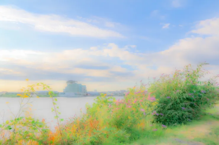 卡地夫灣岸邊的翠綠花草