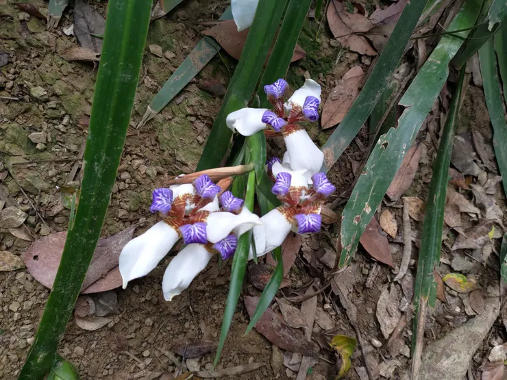 圖片來源：自攝