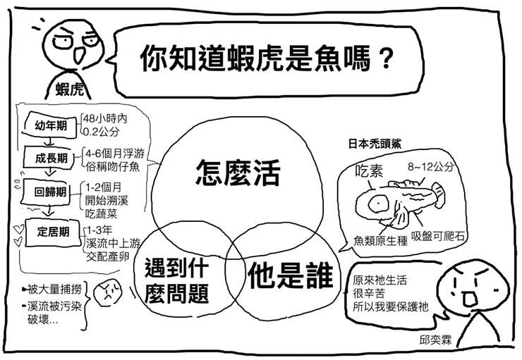 圖解力教學