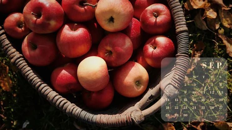 202509月曆桌布 豐收之季