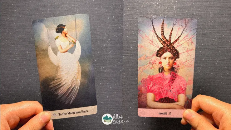 在來來回回的分離之間，獲得下一次整合的綻放