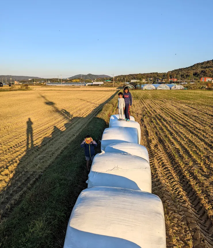 很不一樣的童年