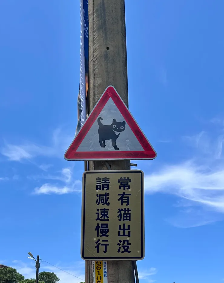 (照片：新北市，金瓜石，水湳洞）