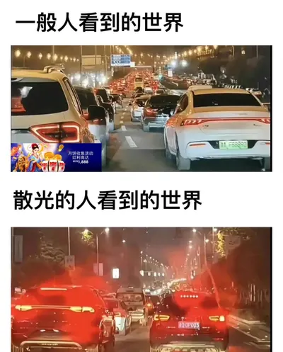 賽鯨魚 ｜ 相簿裡最捨不得刪的 2 張照片