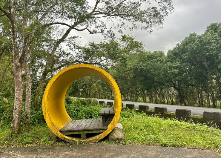 圖03 光復鄉大農大富平地森林園區本來就是賞鳥熱點，一邊散步一邊賞鳥，非常舒適