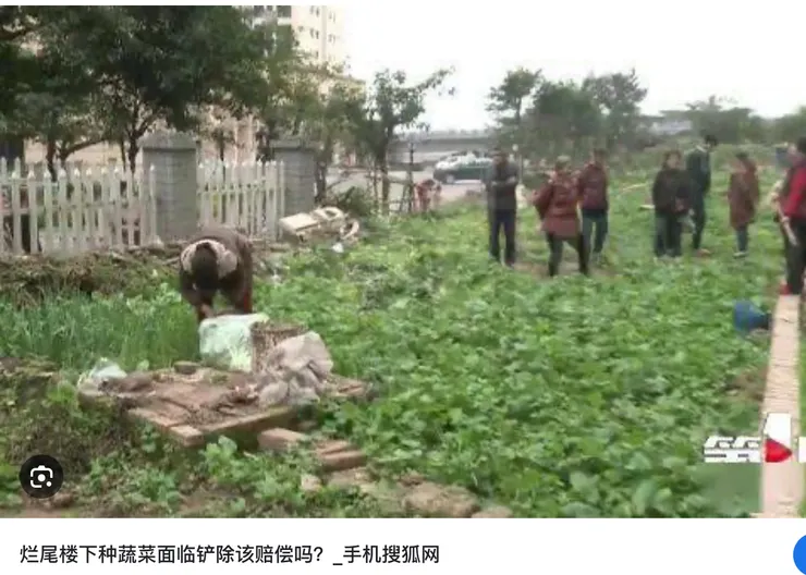 中國特色魔幻現實