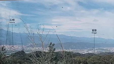 [新北美食]攻頂眺望鶯桃微笑山線、吃一碗百年大榕樹豆花，來一