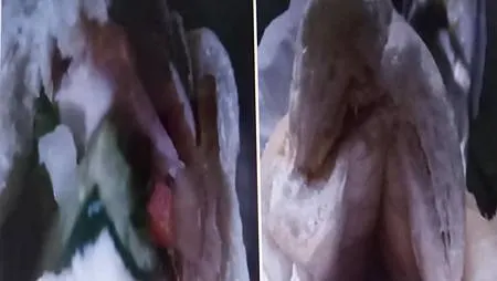 [異國美食]黑龍越南法國麵包，現點現做法國麵包代表店，信義區