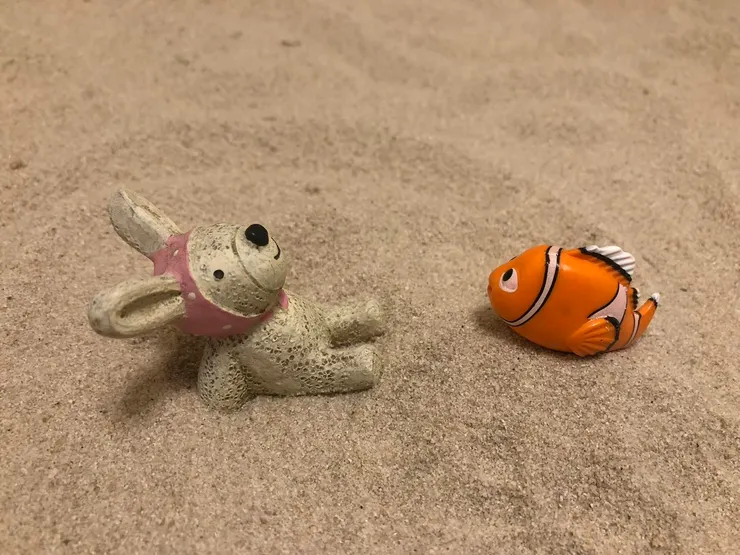 小丑魚問小兔子「你為什麼要坐在這呢？」