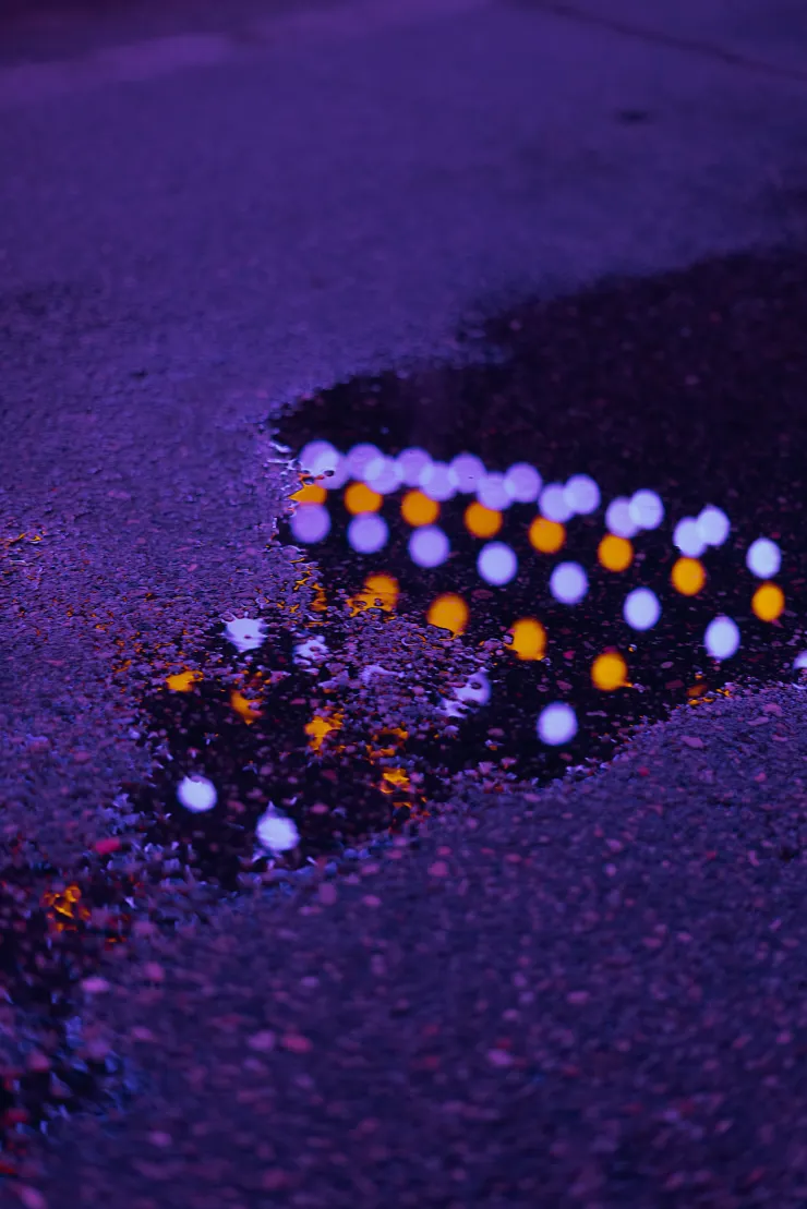 Photo by mohsen ameri on Unsplash





