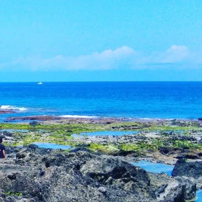 小麻糬想自由自在