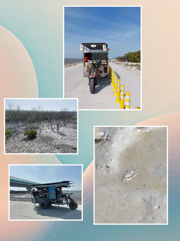 沿途的牛車與螃蟹