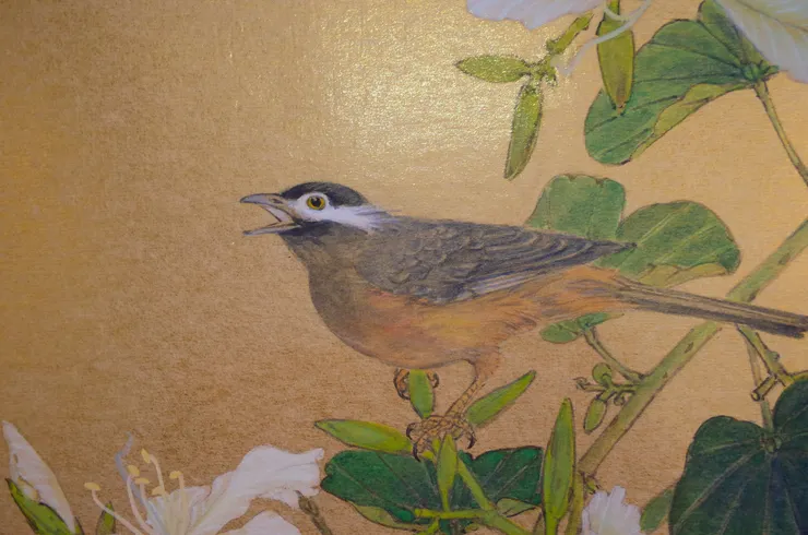 〈鳥啼深處〉局部－白頰噪鶥