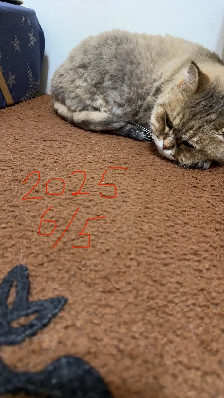 媽媽拍攝於 2025/6/5