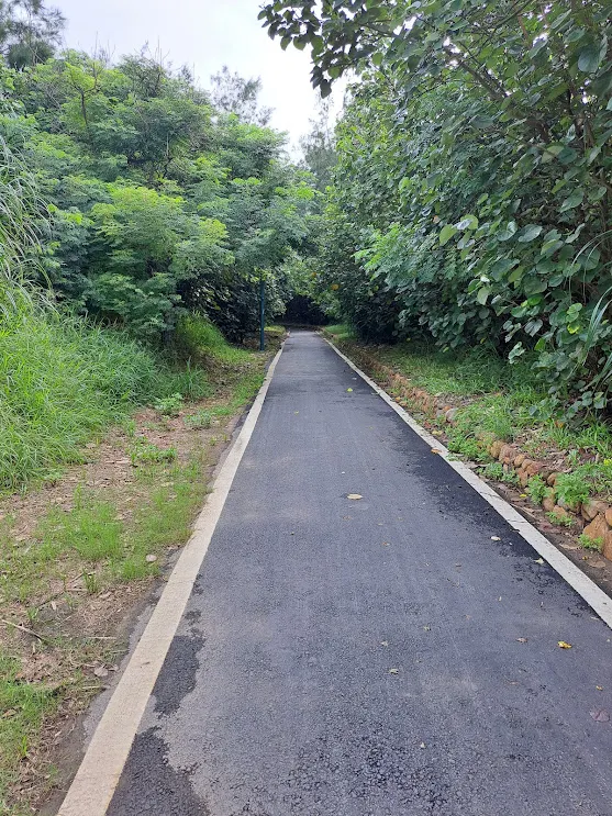往竹南的步道