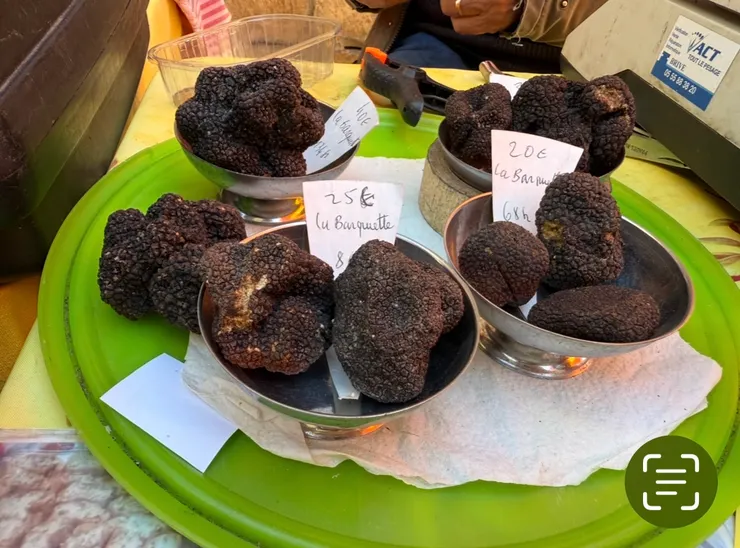 松露價格沒有想像中貴